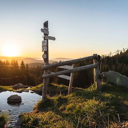 Waldhotel Fehrenbach Hinterzarten Exteriér fotografie