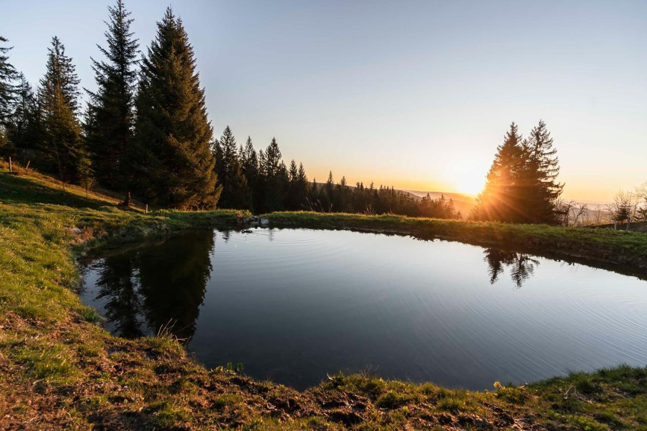 Waldhotel Fehrenbach Hinterzarten Exteriér fotografie