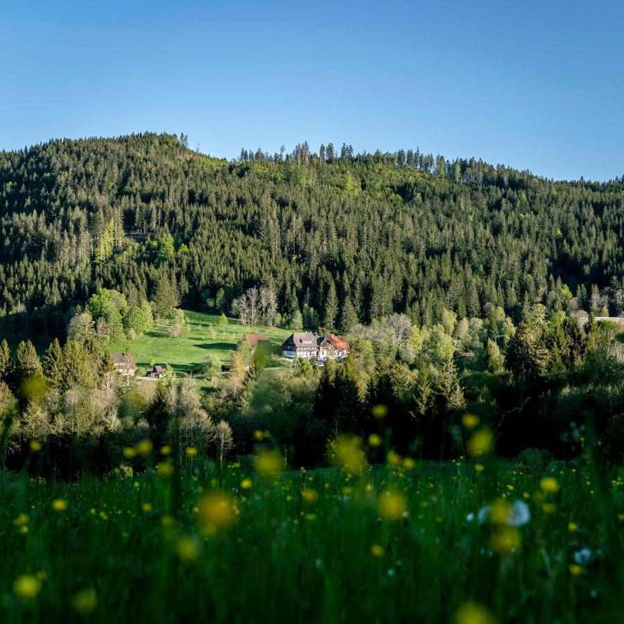 Waldhotel Fehrenbach Hinterzarten Exteriér fotografie